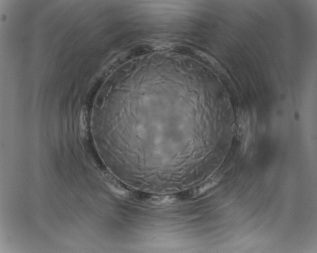 X0000068770667200604281240