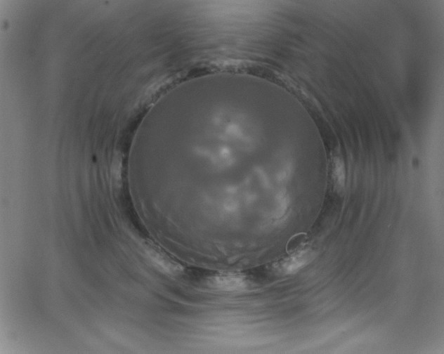 X0000068770668200604281240