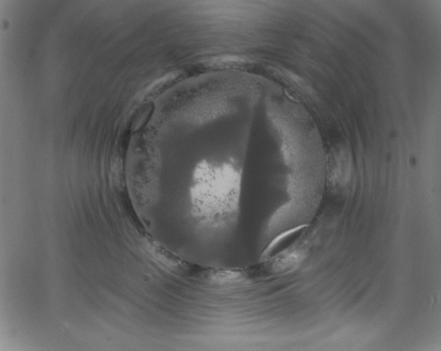 X0000068770669200604281240