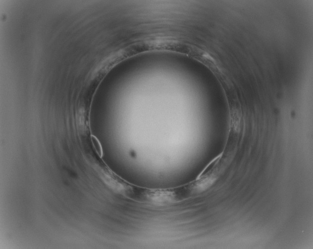 X0000068770670200604281240