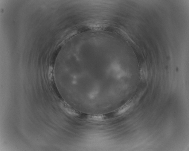 X0000068770671200604281240