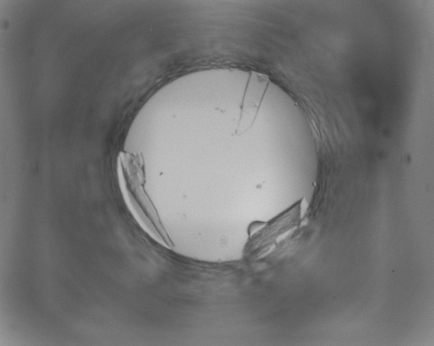 X0000068770672200604281240