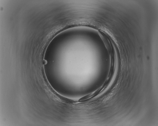 X0000068770673200604281239