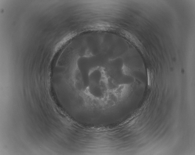 X0000068770675200604281239