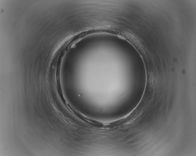 X0000068770676200604281239