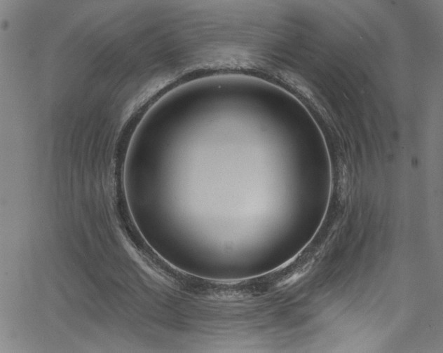 X0000068770677200604281239