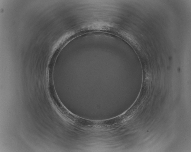 X0000068770678200604281239