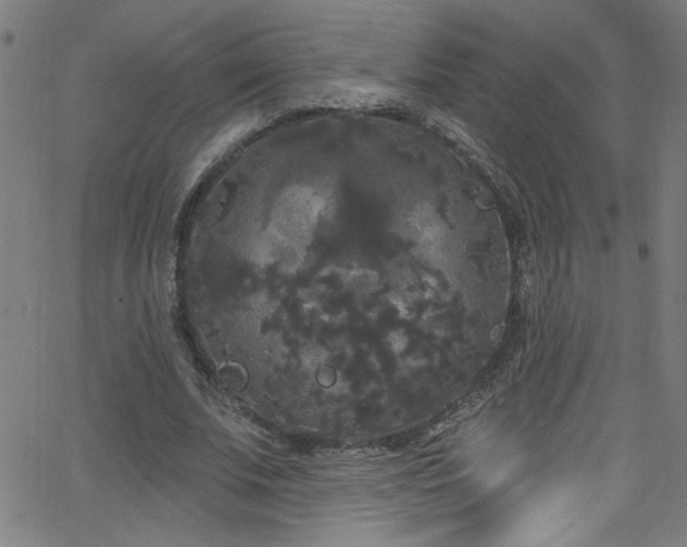 X0000068770679200604281239