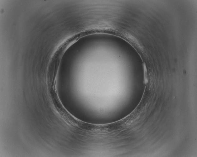 X0000068770680200604281239