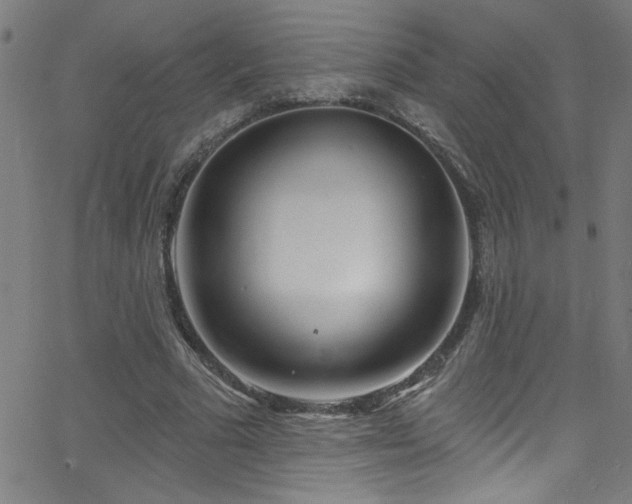 X0000068770681200604281239