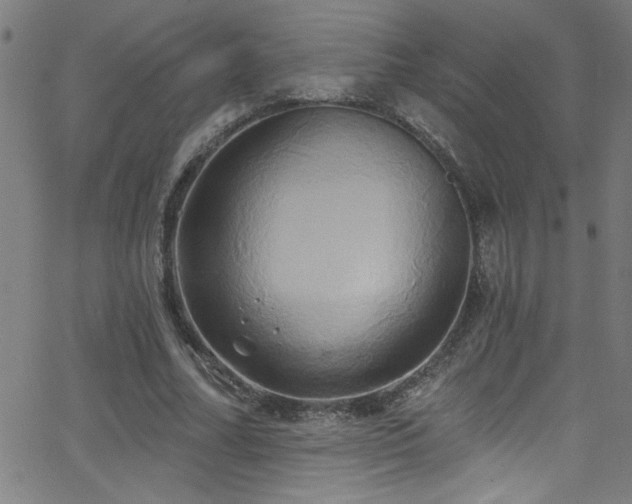 X0000068770682200604281239