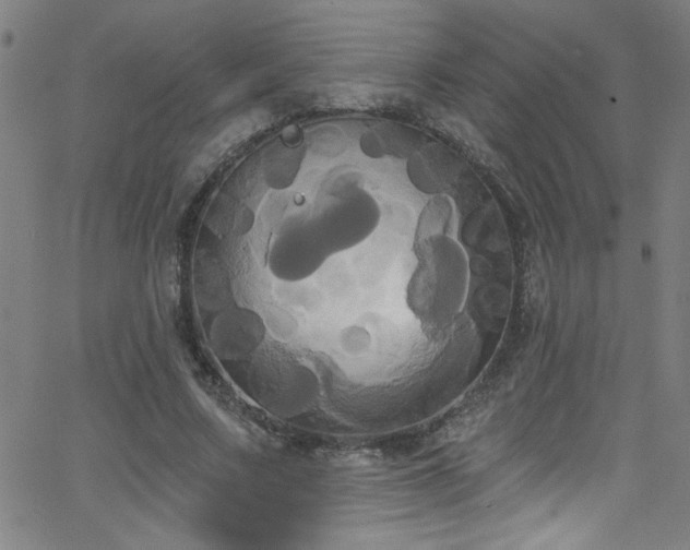 X0000068770683200604281239