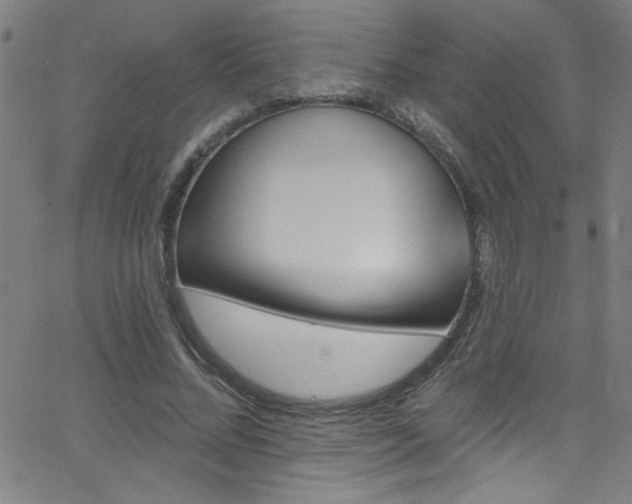 X0000068770684200604281239