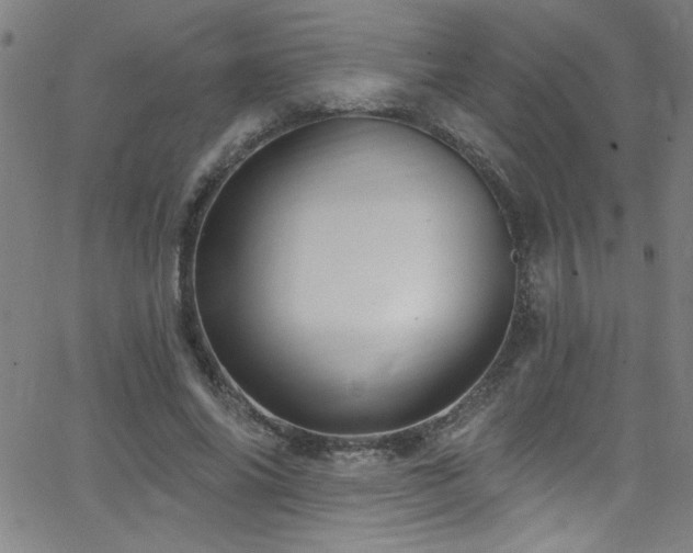 X0000068770686200604281239