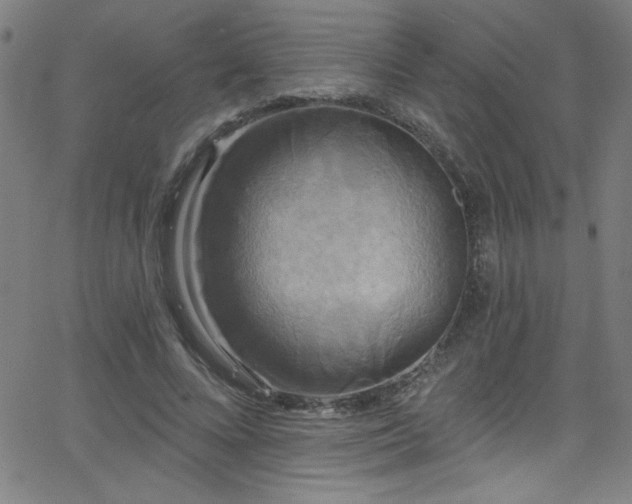 X0000068770688200604281239