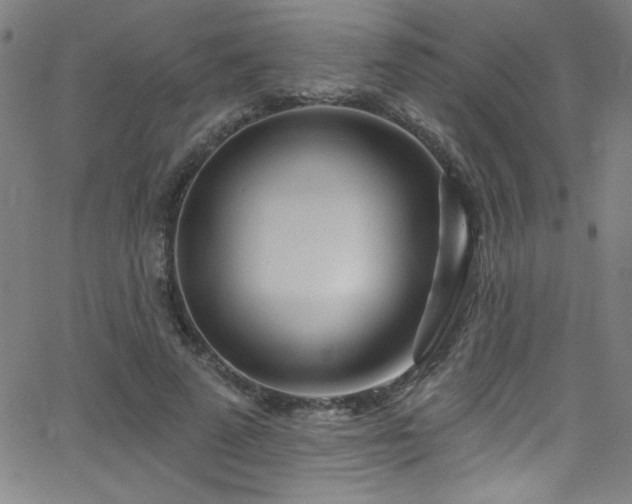 X0000068770689200604281239