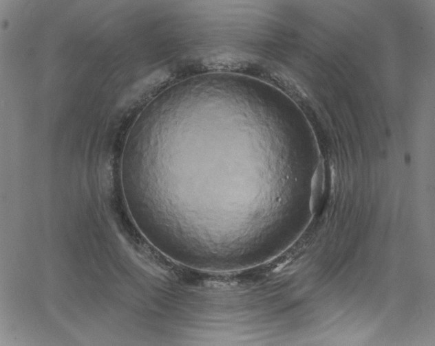 X0000068770690200604281239