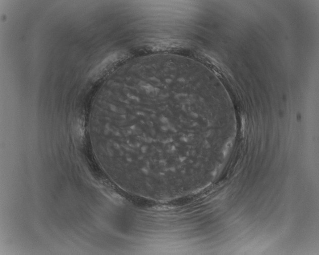 X0000068770691200604281239