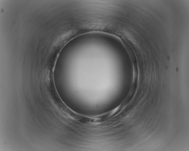 X0000068770692200604281239