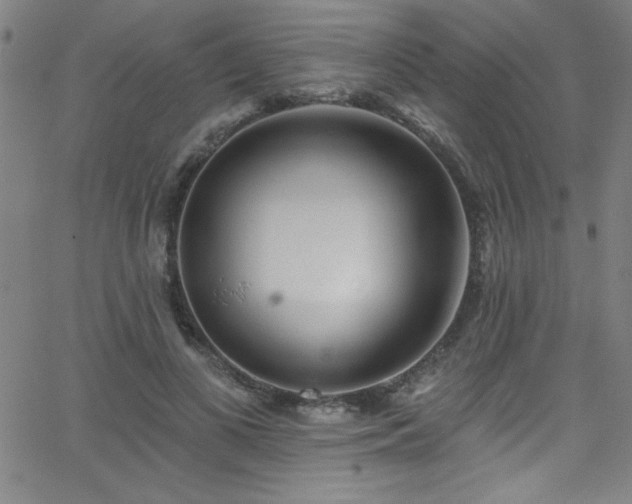 X0000068770693200604281239