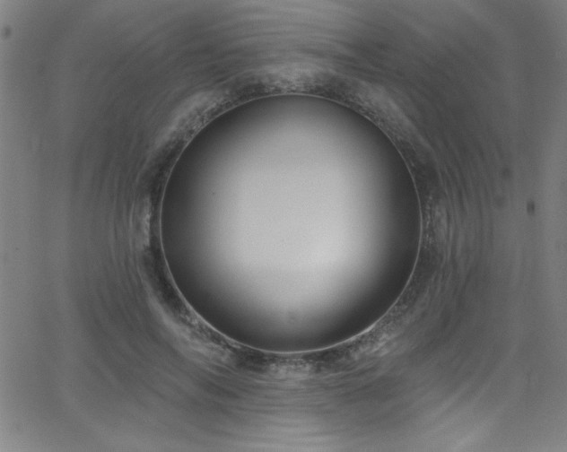 X0000068770694200604281239