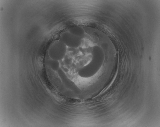 X0000068770695200604281239