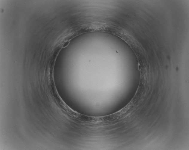 X0000068770696200604281239