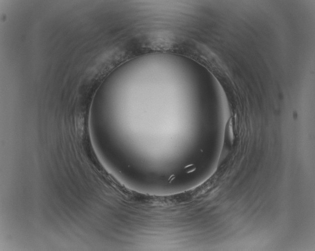 X0000068770697200604281239