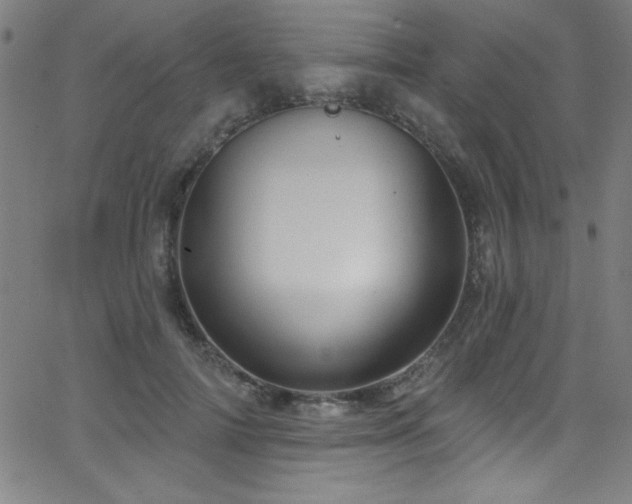 X0000068770698200604281239