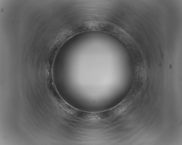 X0000068770702200604281239