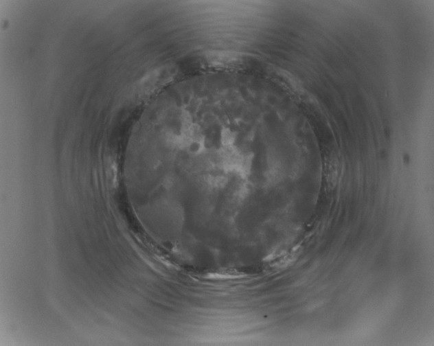 X0000068770703200604281239