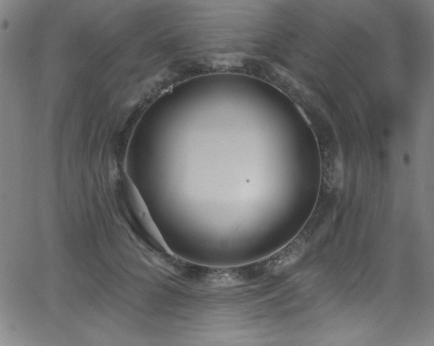 X0000068770704200604281239