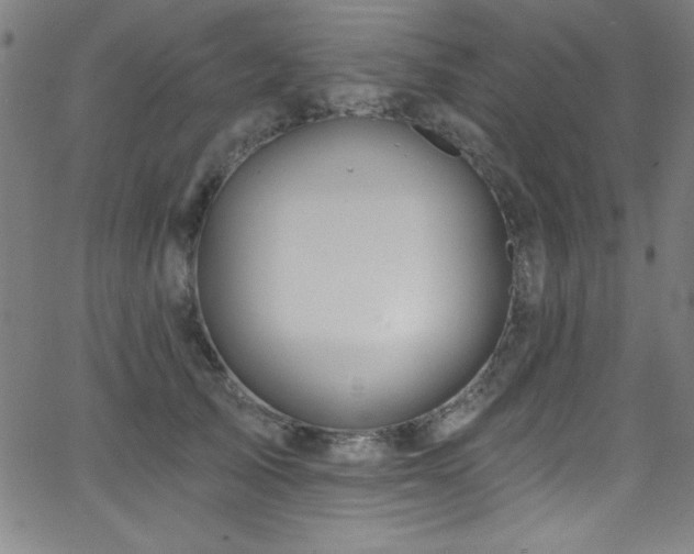 X0000068770705200604281239