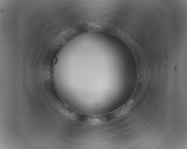 X0000068770706200604281238