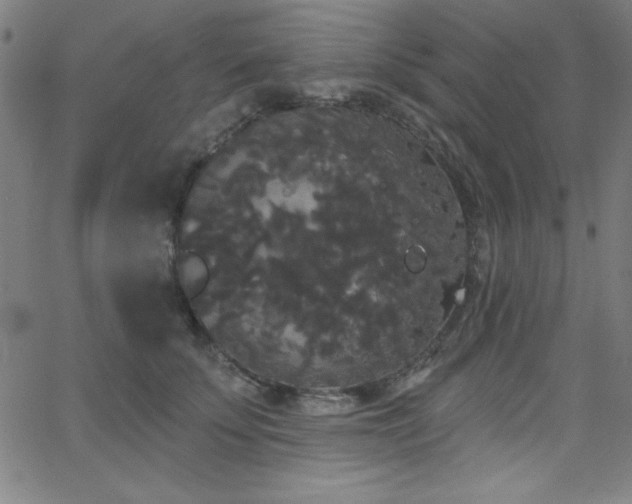 X0000068770707200604281238