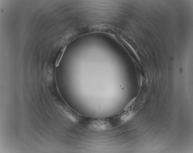 X0000068770708200604281238