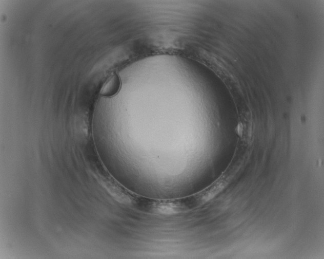 X0000068770710200604281238