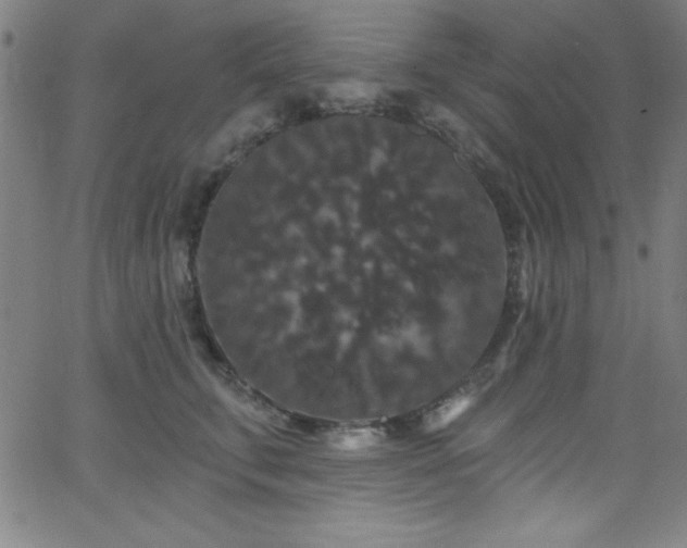 X0000068770711200604281238