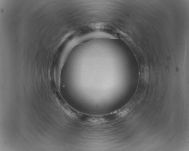 X0000068770712200604281238