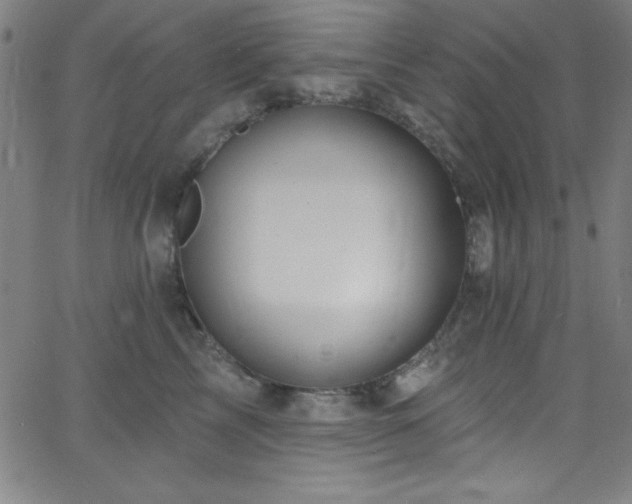 X0000068770713200604281238