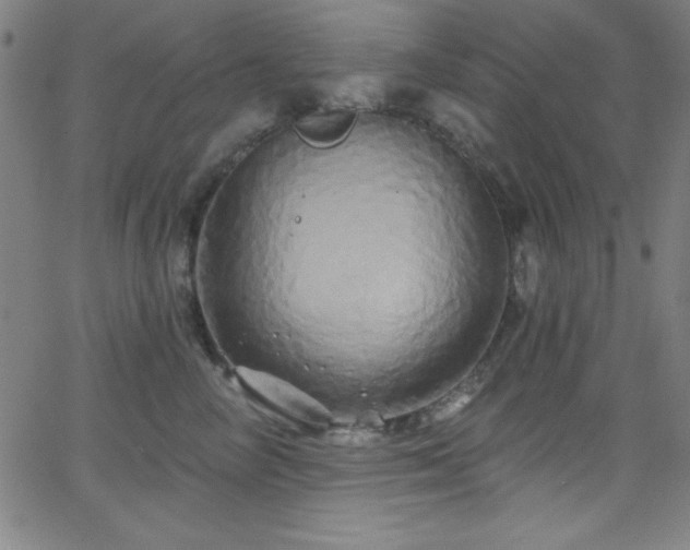 X0000068770714200604281238