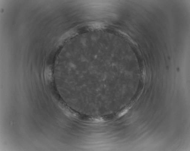 X0000068770715200604281238