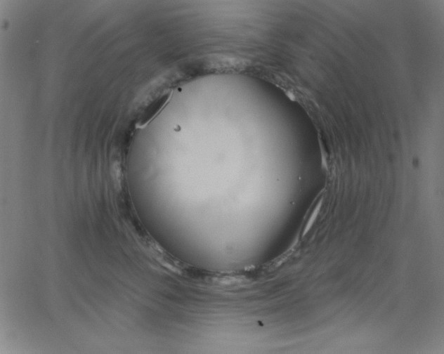 X0000068770716200604281238