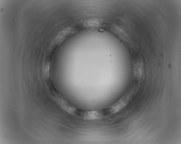 X0000068770717200604281238