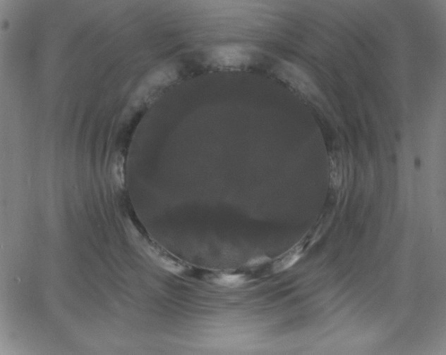 X0000068770718200604281238