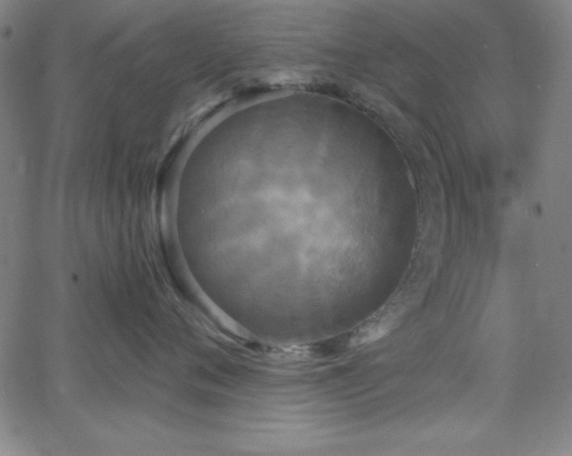 X0000068770720200604281238