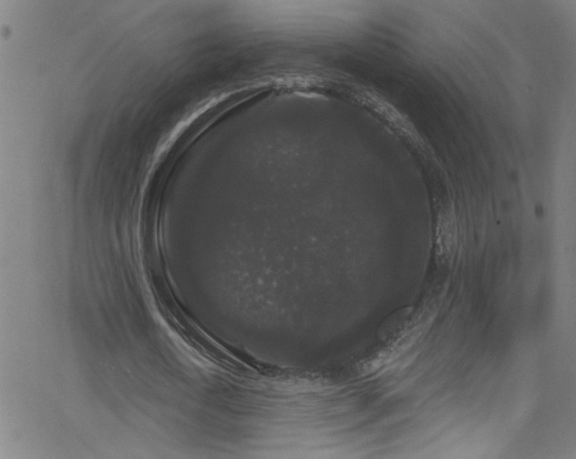 X0000068770722200604281237