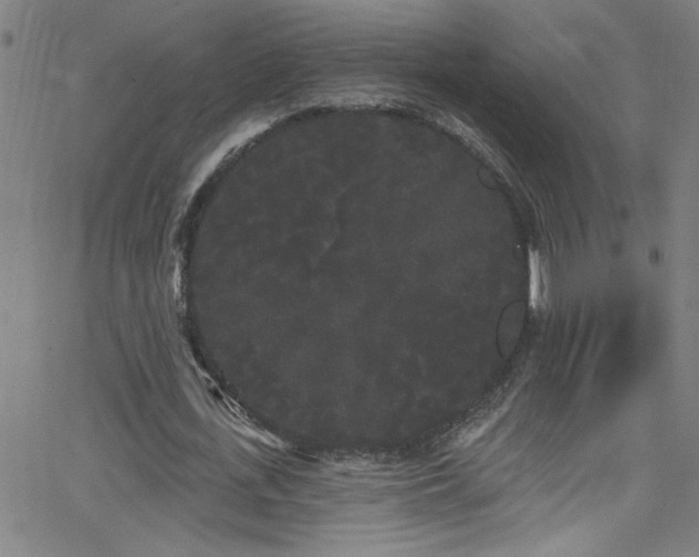 X0000068770723200604281237