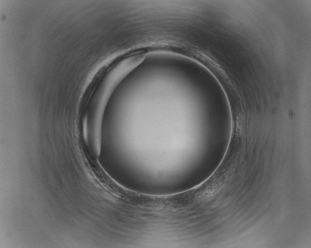 X0000068770724200604281237