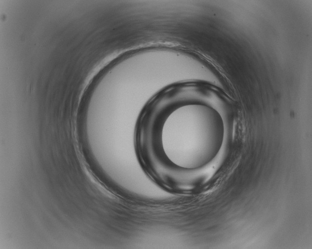 X0000068770726200604281237